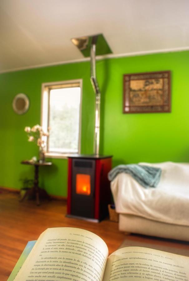 Green Hostel Valdivia Luaran gambar